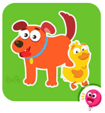 Animals